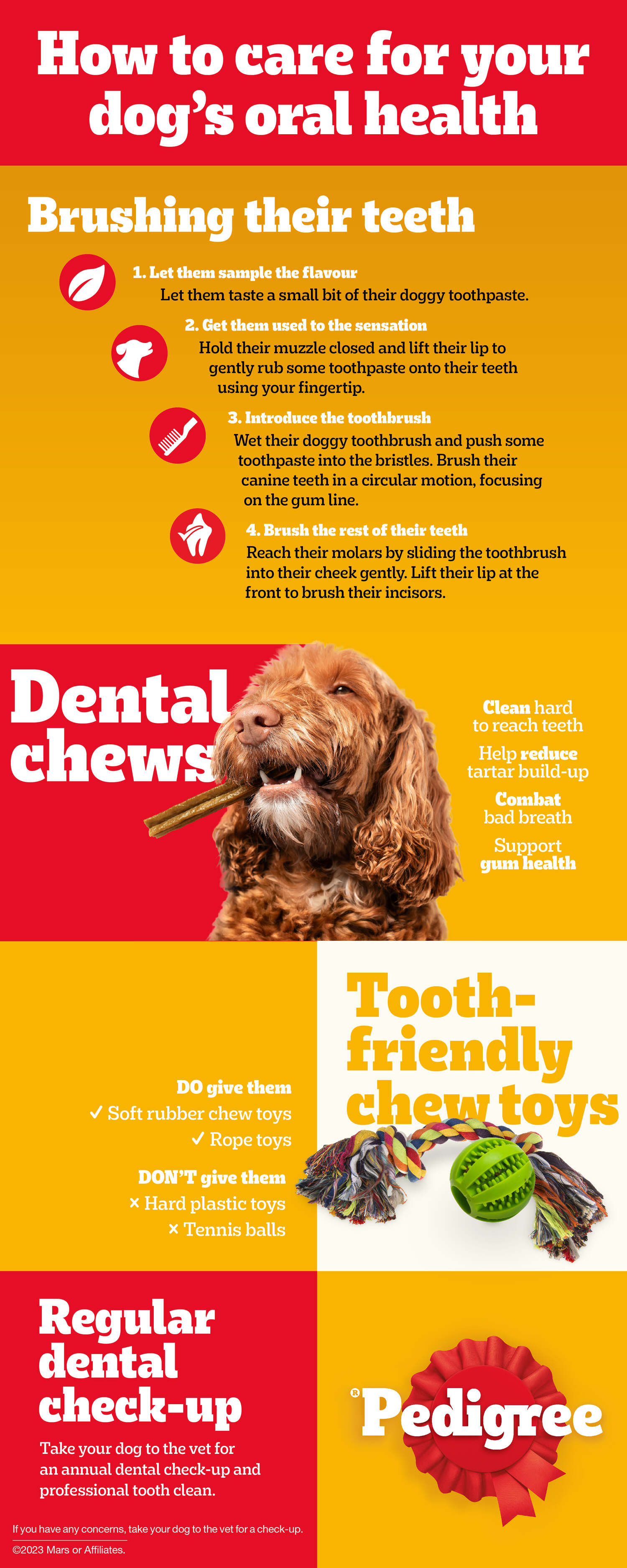 Can i use regular toothpaste for my dog cheap